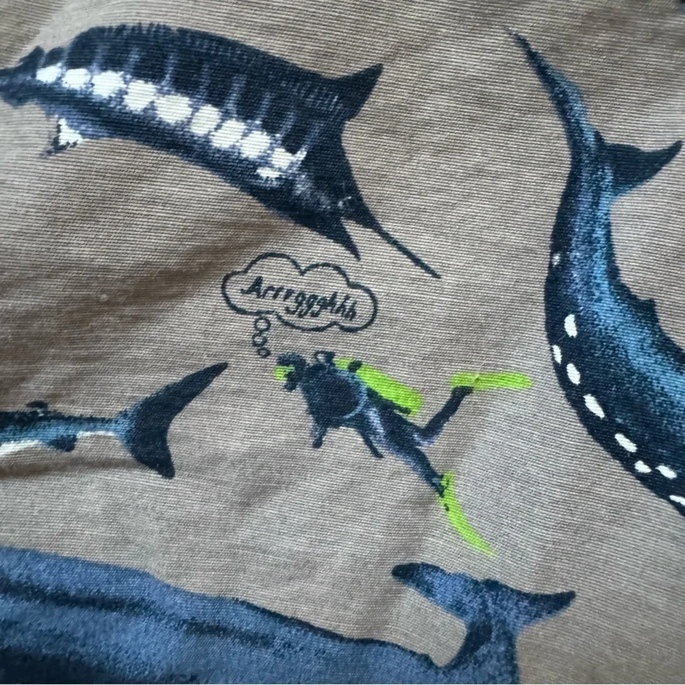 Lands' End Kids Shark Print Swim Trunks - Set of 2